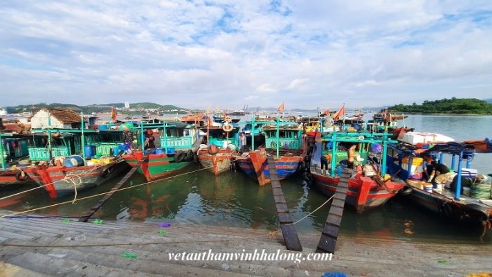 Quảng Ninh có gì thu hút du khách?