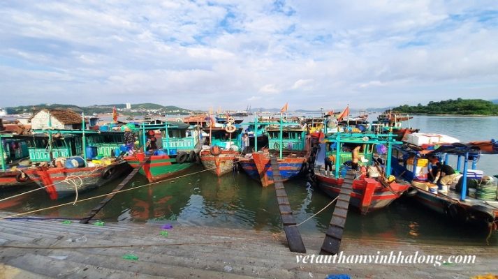 Tổng quan về khu chợ Hòn Gai