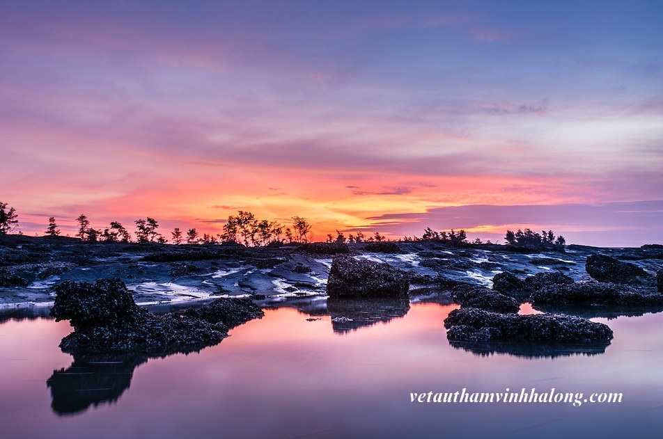 Cồn Mang Quảng Ninh