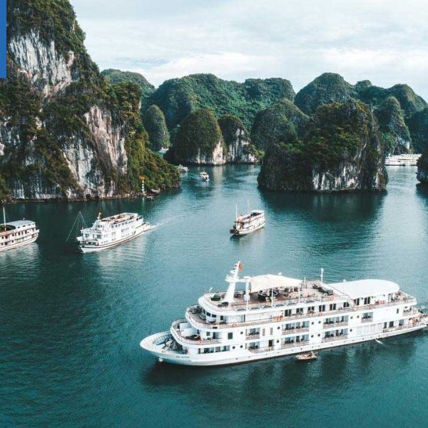 Lịch trình 2 ngày 1 đêm tour du thuyền Paradise Elegance thăm vịnh Hạ Long