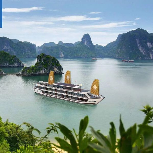 Lịch trình tour du thuyền Regal Genesis 2 ngày 1 đêm thăm vịnh Lan Hạ