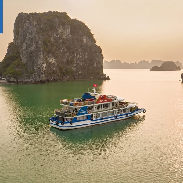 Cập nhật bảng giá mới nhất của du thuyền Cozy Bay Cruises