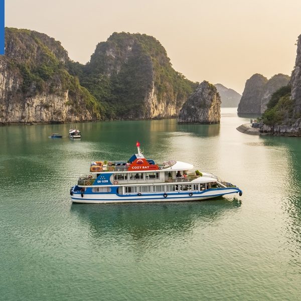 Lịch trình di chuyển tham quan của Cozy Bay Cruises