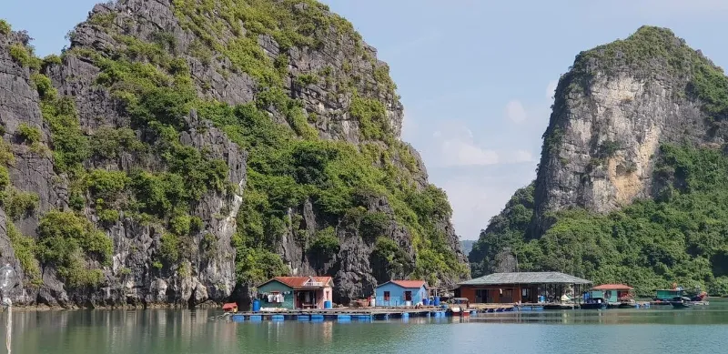 Làng chài Hạ Long