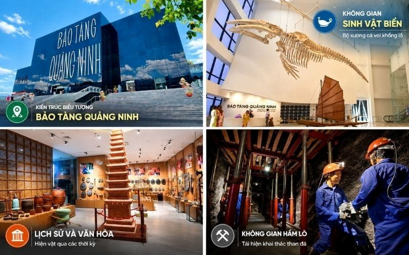 Top 13 Khu Du Lịch Hạ Long Nổi Tiếng Và Hấp Dẫn Nhất Hiện Nay 5 Bảo tàng Quảng Ninh với kiến trúc kính đen độc đáo và không gian trưng bày phong phú