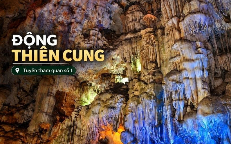 Top 13 Khu Du Lịch Hạ Long Nổi Tiếng Và Hấp Dẫn Nhất Hiện Nay 9 Vẻ đẹp tráng lệ và trần thạch nhũ dày đặc bên trong Động Thiên Cung